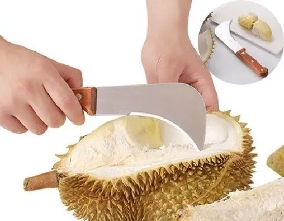 食用科普|榴莲怎么剥 又快又方便