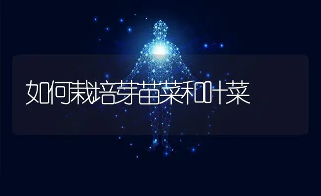 如何栽培芽苗菜和叶菜 | 蔬菜种植
