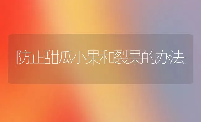 防止甜瓜小果和裂果的办法 | 瓜果种植