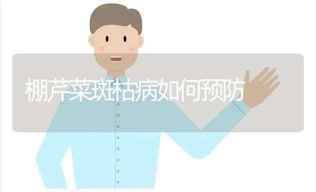 棚芹菜斑枯病如何预防 | 蔬菜种植