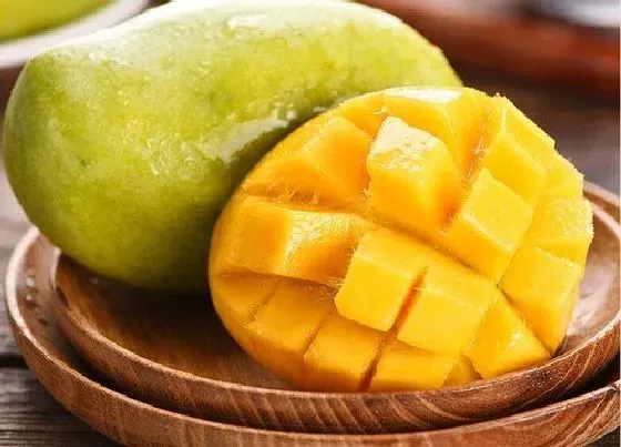 食用科普|芒果皮怎么剥皮方便