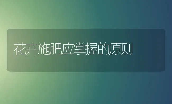 花卉施肥应掌握的原则 | 种植肥料施肥