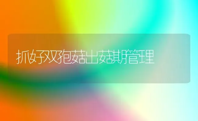 抓好双孢菇出菇期管理 | 食用菌种植