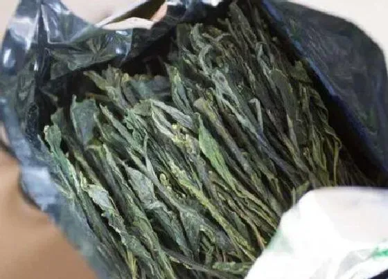 植物泡水|太平猴魁属于什么档次茶叶（太平猴魁什么样种类的品质好）