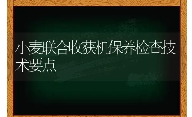 小麦联合收获机保养检查技术要点 | 粮油作物种植