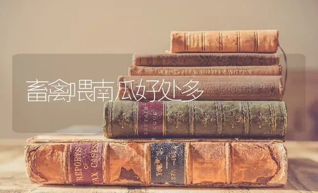 畜禽喂南瓜好处多 | 蔬菜种植