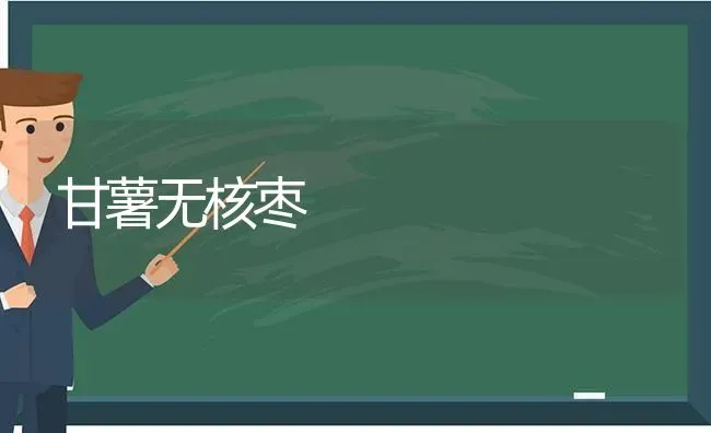 甘薯无核枣 | 瓜果种植