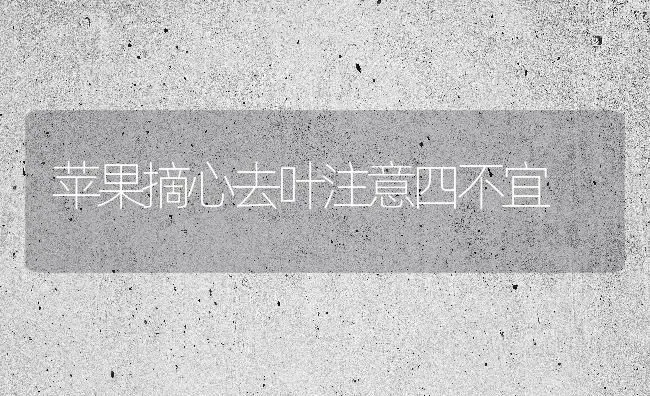 苹果摘心去叶注意四不宜 | 瓜果种植