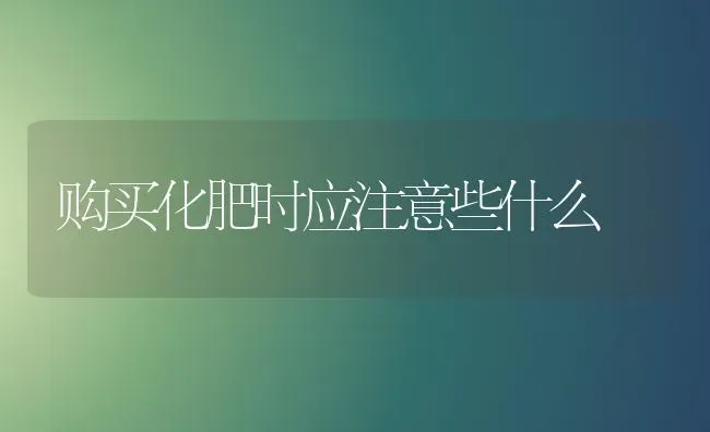 小麦新品---川农麦1号 | 粮油作物种植