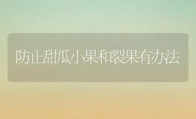 防止甜瓜小果和裂果有办法 | 瓜果种植