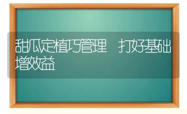 甜瓜定植巧管理 打好基础增效益 | 瓜果种植