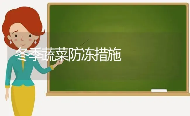 冬季蔬菜防冻措施 | 蔬菜种植