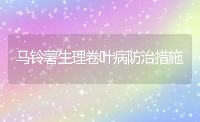 马铃薯生理卷叶病防治措施 | 粮油作物种植