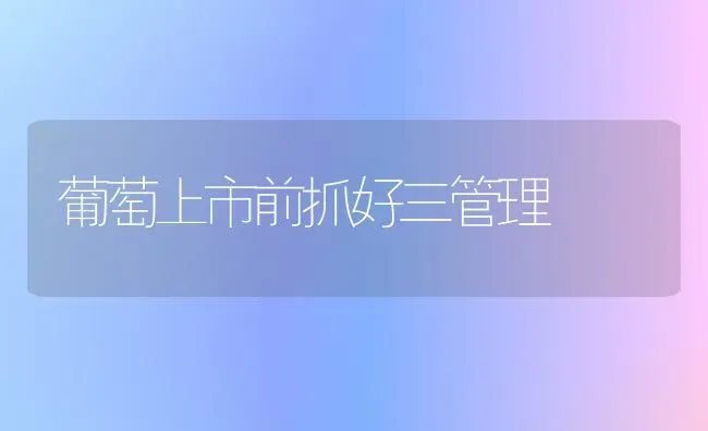 葡萄上市前抓好三管理 | 瓜果种植
