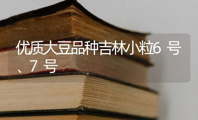 优质大豆品种吉林小粒6号、7号 | 粮油作物种植