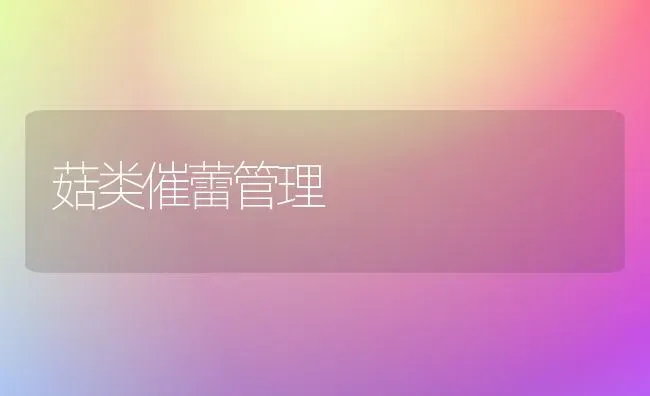 菇类催蕾管理 | 食用菌种植