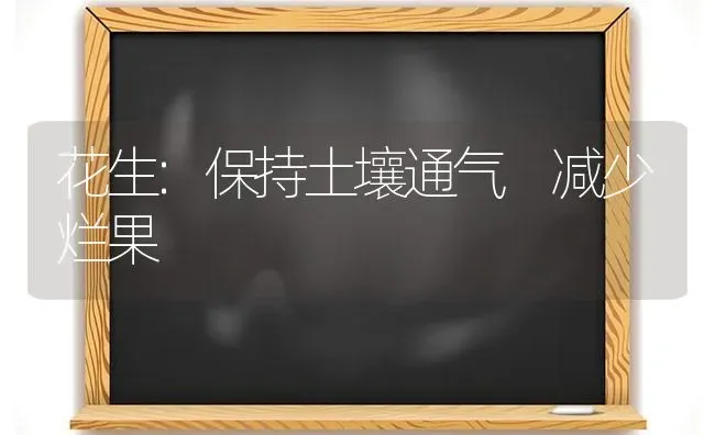 花生:保持土壤通气 减少烂果 | 瓜果种植