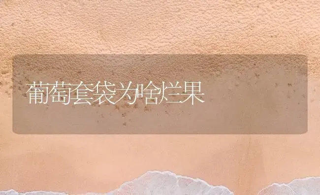 葡萄套袋为啥烂果 | 瓜果种植