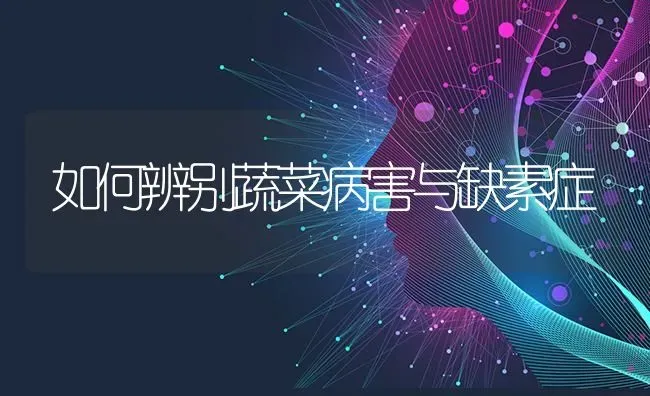 如何辨别蔬菜病害与缺素症 | 蔬菜种植