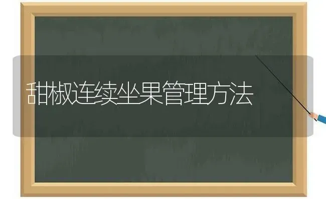 甜椒连续坐果管理方法 | 瓜果种植