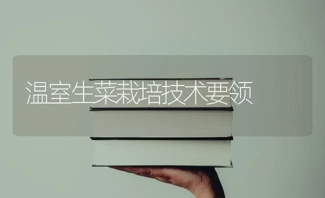温室生菜栽培技术要领 | 蔬菜种植