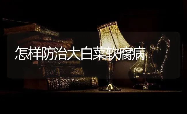 怎样防治大白菜软腐病 | 蔬菜种植