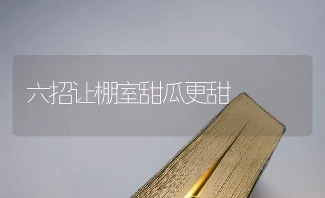 六招让棚室甜瓜更甜 | 瓜果种植