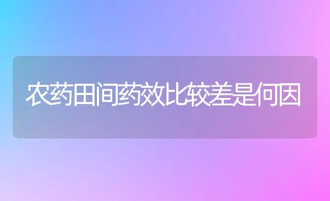 农药田间药效比较差是何因 | 种植病虫害防治