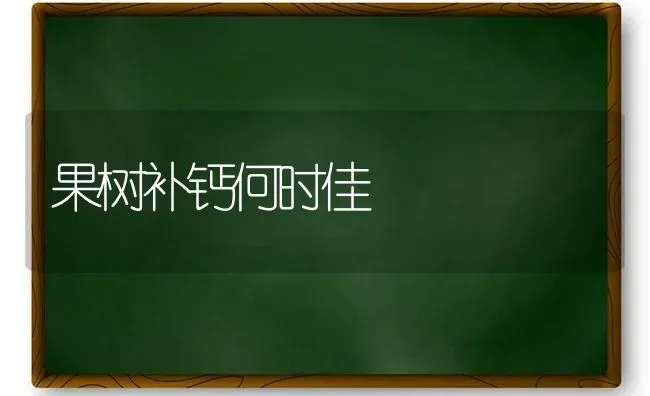 果树补钙何时佳 | 瓜果种植