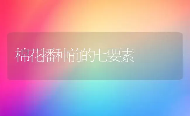 棉花播种前的七要素 | 粮油作物种植