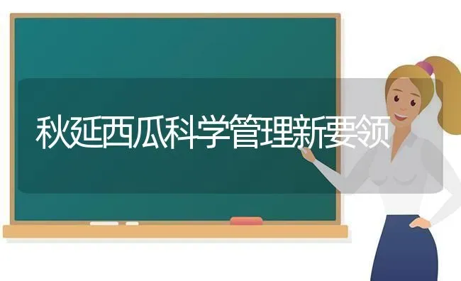 秋延西瓜科学管理新要领 | 瓜果种植