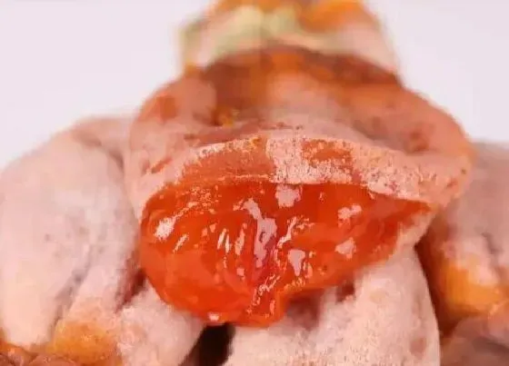 水果科普|全国哪里的柿饼最好吃最出名 什么地方的柿子饼最正宗