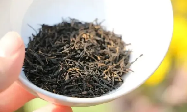 植物泡水|红茶有哪些品种前十名图片（最好喝的红茶排名前十名品牌）