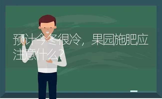 预计今冬很冷，果园施肥应注意什么？ | 瓜果种植
