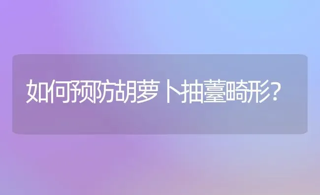 如何预防胡萝卜抽薹畸形？ | 蔬菜种植