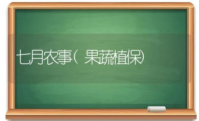 七月农事(果蔬植保) | 瓜果种植