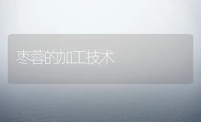 枣蓉的加工技术 | 瓜果种植