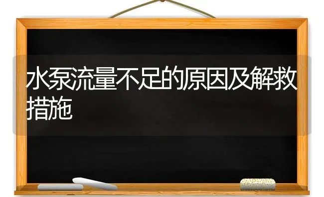 水泵流量不足的原因及解救措施 | 瓜果种植