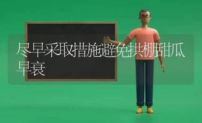 尽早采取措施避免拱棚甜瓜早衰 | 瓜果种植