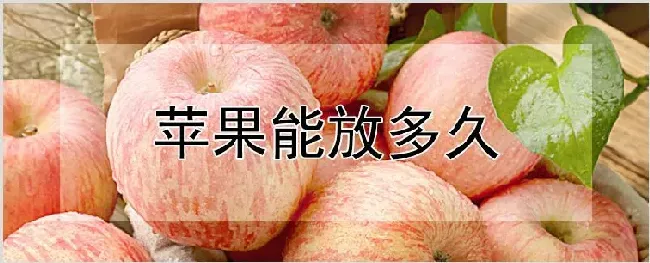 苹果能放多久 | 耕种资料