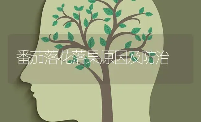 番茄落花落果原因及防治 | 瓜果种植