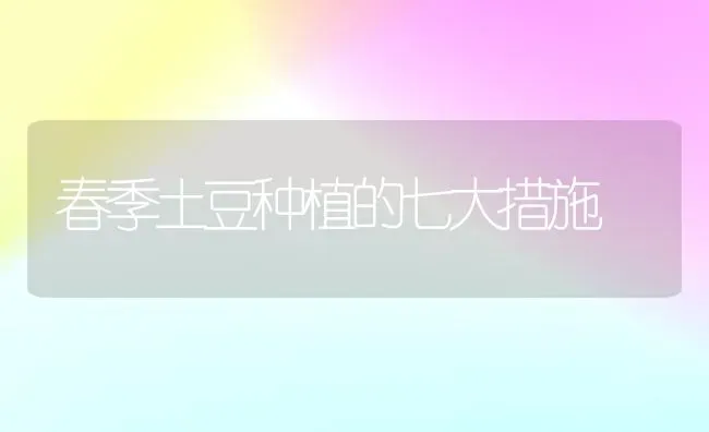 春季土豆种植的七大措施 | 植物种植百科