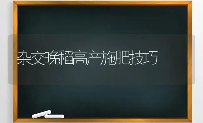 杂交晚稻高产施肥技巧 | 种植肥料施肥