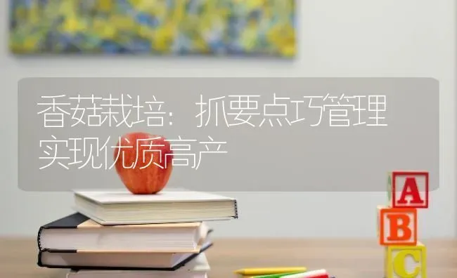 香菇栽培：抓要点巧管理 实现优质高产 | 食用菌种植