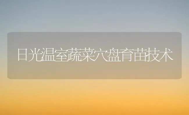 日光温室蔬菜穴盘育苗技术 | 蔬菜种植