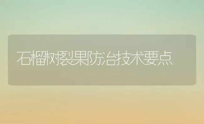 石榴树裂果防治技术要点 | 瓜果种植