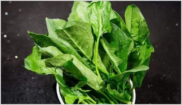 菠菜种子播种前要泡吗 | 种植技术