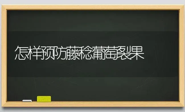 怎样预防藤稔葡萄裂果 | 瓜果种植