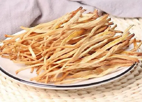 功效常识|黄花菜的功效与作用及食用方法