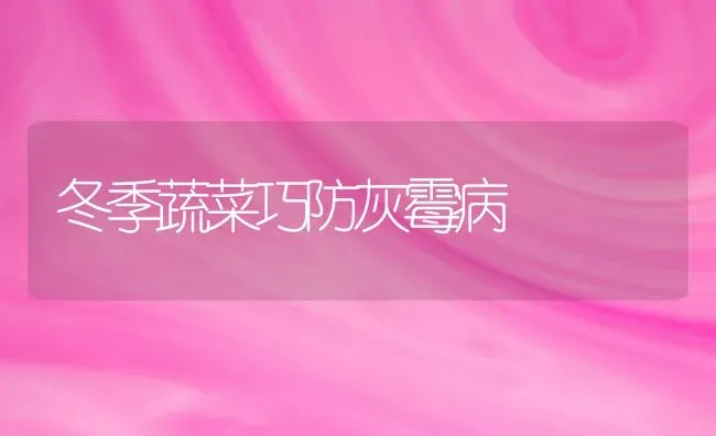 冬季蔬菜巧防灰霉病 | 蔬菜种植